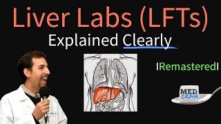 Liver Function Test Interpretation LFTs  Liver Enzymes Remastered Bilirubin GGT Alk Phos [upl. by Nageet989]