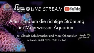 Alles rund um die richtige Strömung im MeerwasserAquarium [upl. by Yblocaj]