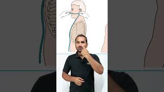 Procedure Nasogastric  NG Tube  Fundamental of Nursing  Testpaperlive shorts ngtube nursing [upl. by Buskus616]