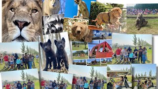 DISCOVERY WILDLIFE PARK CAMPGROUND 2022 Innisfail Alberta 🇨🇦🐻🦁🏠 [upl. by Siloum]