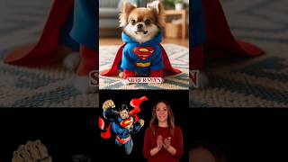 A puppy wears a superhero costume 💥 The avengers [upl. by Betsey917]