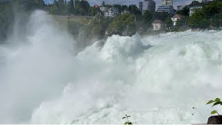 Imposanter Rheinfall Gesperrte Wege Berlingen und Kreuzlingen unpassierbar [upl. by Noni]