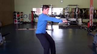 1Arm Cable Row with Rotation [upl. by Demitria]