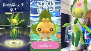 蟲寶包進化保母蟲！クルミル Sewaddle！ハハコモリ Leavanny！Pokemon GO [upl. by Edmee]