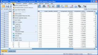 Select Cases  SPSS part 1 [upl. by Otrepur948]