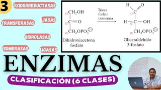 ENZIMAS 3  CLASIFICACIÓN  Las 6 clases de Enzimas Características y cómo reconocerlas [upl. by Airod]