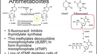 Cytotoxic chemotherapy 1 alkylating agents and antimetabolites [upl. by Sicnarf]