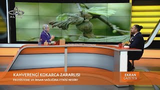 22 Ekim 2024 Ekran GazetesiVeteriner Hekimi Dr Burak Han KaraağaçKokarca Sokak Hayvanları Kedi [upl. by Londoner301]