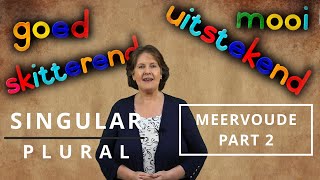 How to CHANGE WORDS in AFRIKAANS from the SINGULAR to PLURAL  Meervoude  Part 2 [upl. by Darken]