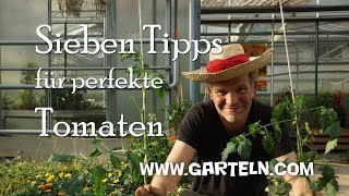 Tomaten pflanzen  Sieben Tipps für perfekte Tomaten 🍅 in eurem Garten und auf dem Balkon [upl. by Latouche744]