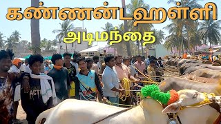 கண்ணன்டஹள்ளி அடிமந்தை ஒரு பார்வை 29022024 [upl. by Lanoil991]