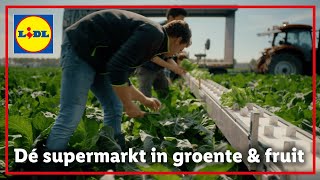 Lidl is dé supermarkt in groente amp fruit🍓🥕  TV commercials [upl. by Coopersmith]