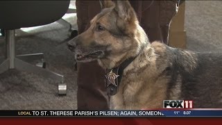 Donation helps Outagamie Co Sheriff pay for new K9 [upl. by Brod826]