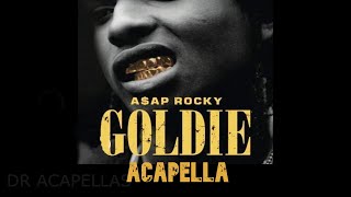 AAP Rocky  Goldie Acapella  Vocals Only [upl. by Adelaida]