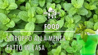 SCIROPPO ALLA MENTA FATTO IN CASA [upl. by Ethelred91]