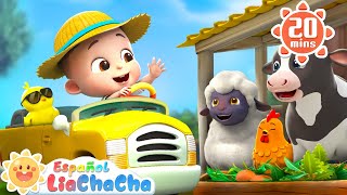 NUEVO Las Ruedas del Bus Animales de Granja  LiaChaCha en Español  Canciones Infantiles [upl. by Lundell]