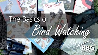 Videos for Cats to Watch  8 Hour Birds Bonanza  Cat TV Bird Watch [upl. by Durante420]