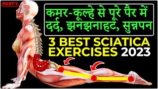 3 Best SCIATICA Pain Relief Exercises  Back Pain 2023 [upl. by Ehrenberg446]