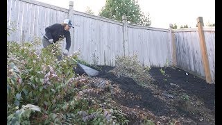 Landscape Prep Steep Slope Erosion Control [upl. by Atiuqrahc]