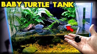 Building a BABY TURTLE FOREST TANK  Aqua Terrarium  Paludarium  Planting  MD Fish Tanks [upl. by Seira478]