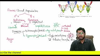 Morphology of flowering plants  Actinomorphic Zygomorphic flower [upl. by Katti]