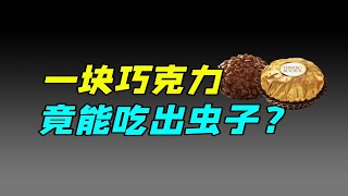 費列羅（Ferrero）：曾高攀不起的巧克力頂流，怎麼沒人買了？｜十萬個品牌故事 [upl. by Eelrebma]