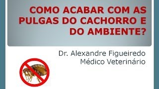 COMO ACABAR COM AS PULGAS DO CACHORRO E DO AMBIENTE AULA PASSO A PASSO [upl. by Schoening]