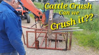 Crushing the cattle Crush can we straighten it Bakewell market fab prices  bullocks set free [upl. by Akirderf]