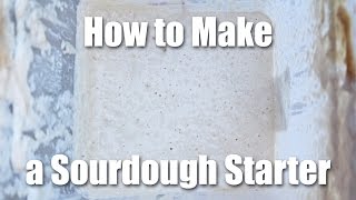 How To Make A Sourdough Starter  Video Recipe [upl. by Drucie]