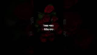 Srotoshini  স্রোতস্বিনী  Encore  Srotoshinni lyrics  bangla song lyrics  shorts  STAR MUSIC [upl. by Ylim]