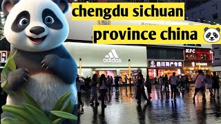 chengdu sichuan province china 🐼 panda city in china 🐼🇨🇳Rishivlogr1 [upl. by Todhunter]