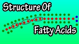 Fatty Acids  What Are Fatty Acids  Structure Of Fatty Acids  Types Of Fatty Acids [upl. by Cullen87]