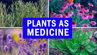 5 Powerful Medicinal Plants You Must Have At Home [upl. by Ellerol]