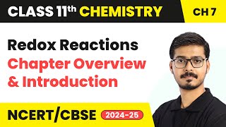 Redox Reactions  Chapter Overview and Introduction  Class 11 Chemistry Chapter 7  CBSE 202425 [upl. by Tawsha719]