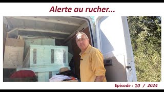 Alerte au rucher… apiculteur lesabeillesdefred07apicultureabeille [upl. by Larson]