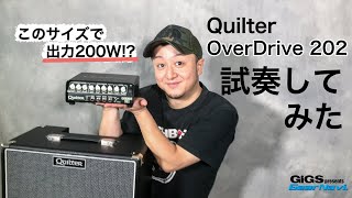 【試奏してみた】Quilter OverDrive 202【GiGS】 [upl. by Vale]