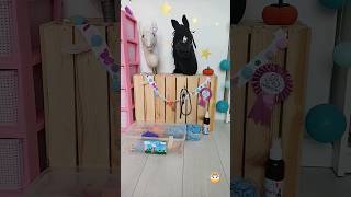 🐴Moja stajnia dla hh🐴 hh konie hobbyhorse [upl. by Lais]