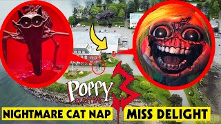 DRONE CATCHES MISS DELIGHT amp NIGHTMARE CATNAP  POPPY PLAYTIME CHAPTER 3 IN REAL LIFE POPPY ISLAND [upl. by Charo]