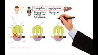 Pharmacology – ANTIBIOTICS – DNA RNA FOLIC ACID PROTEIN SYNTHESIS INHIBITORS MADE EASY [upl. by Delfine355]