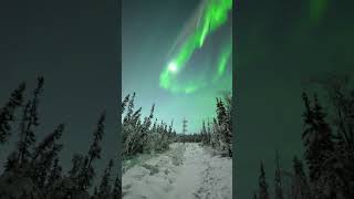 Vibrant Aurora Borealis Shimmers Over Alaska Sky [upl. by Enorej]