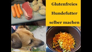 Hundefutter selber machen mit Rindfleisch Kartoffeln und Haferflocken  glutenfrei [upl. by Nadnarb290]