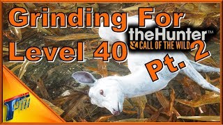 Grinding for Level 40 Pt 2  theHunter Call of the Wild 2017 [upl. by Nylikcaj]