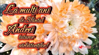 🎉La mulți ani de Sfântul Andrei  Andreea Andu Andra 🥰 Urări și Mesaje frumoase de ziua onomastica [upl. by Yleve818]