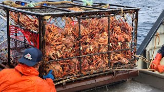 Amazing Catch Hundreds Tons Alaska King Crab With Modern Big Boat  Amazing Crab Fishing on the sea [upl. by Ful]