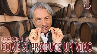 LEZ 48  CORSO DEGUSTAZ  COME SI PRODUCE UN VINO [upl. by Keiko]