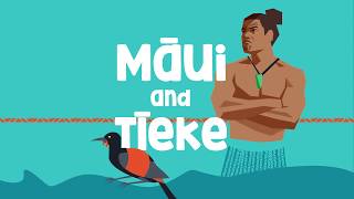 The pūrākau legend of Māui and Tīeke [upl. by Assele]