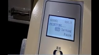 Completed Setup Installations  DX5 DX7 XP600 Head Printer [upl. by Eliam]