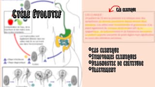 10 mins pour comprendre LE CYCLE EVOLUTIF DE GIARDIA INTESTINALIS [upl. by Suiratnod]