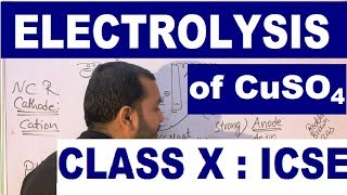 ElectrolySis Of Copper Sulphate Using Inert and Copper Electrode I Electrolysis class 10 ICSE [upl. by Ardnuas]