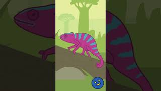 Chameleon Song Short  Fun Educational Animal Song for Kids │ Smiley Rhymes [upl. by Twitt]